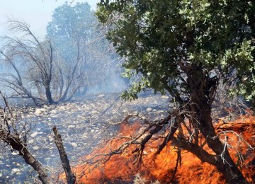 Wildfire Damage Declining in DOE-Managed Protected Zones