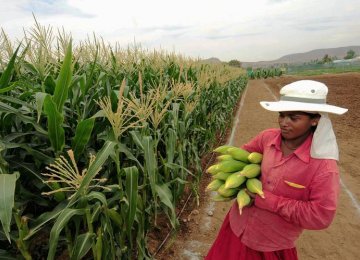 Monsanto Rejects Bayer Offer, Demands More