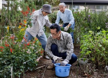 One in every four Japanese are over the age of 65.