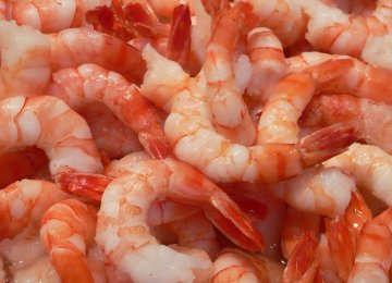 Shrimp Exports Up 10%