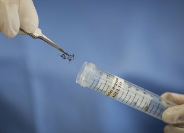 Experimental Zika Vaccine to Begin Human Testing
