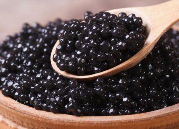 Decline in Caviar Export