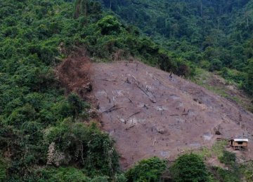 10% of World’s Wilderness Destroyed in 2 Decades