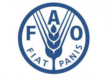 FAO to Help Afghan Refugees
