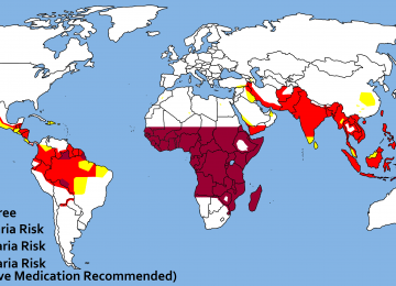 Iran faces a significant risk of malaria importation across its borders with Afghanistan and Pakistan. 