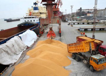 Contaminated Corns Abandoned at Imam Khomeini Port