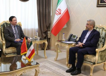 Iran Energy Minister, China Envoy Discuss Collaboration in Water, Power Sectors