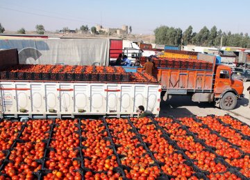 Iran Agrifood Exports Rise 23% as Imports Fall 6% 