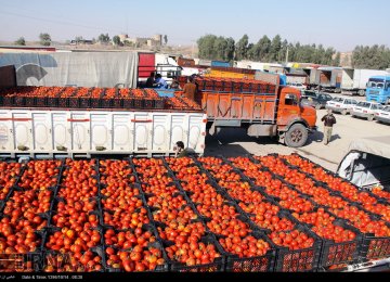Iran Agrifood Trade Deficit Narrows
