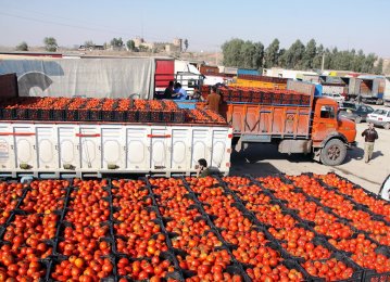 Iran&#039;s Fruit, Vegetable Exports Exceed $1.5 Billion Last Year