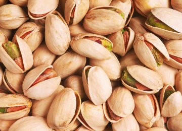 Pistachio Exports Rise Over $420m