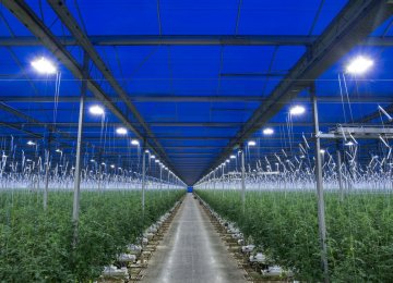 Tehran Accounts for Largest Share of Iran&#039;s Greenhouses