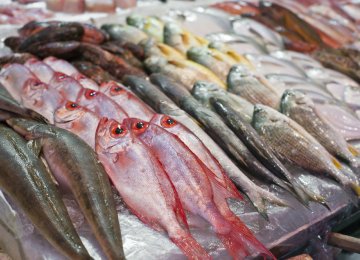 Seafood Exports Earn $50m in 2 Months