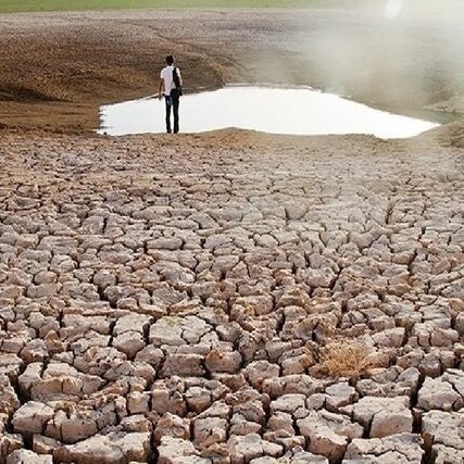 Drought Inflicts Heavy Losses on Lorestan’s Agriculture Sector