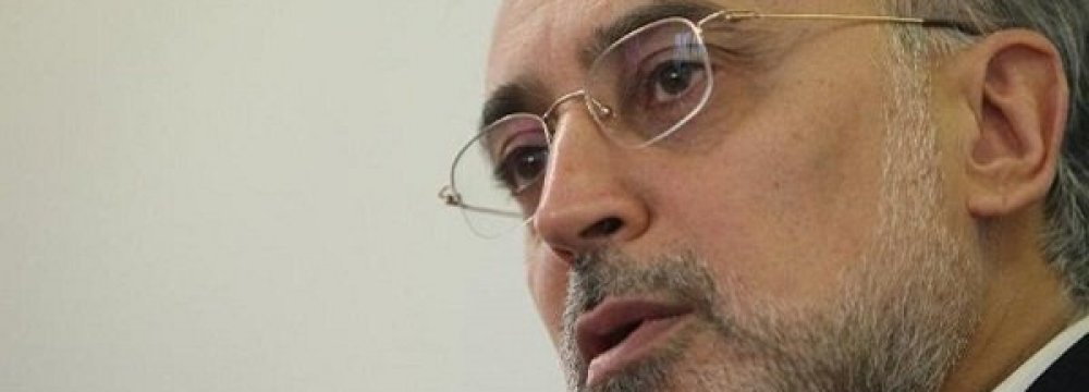 Salehi to Discuss JCPOA at Oslo Forum