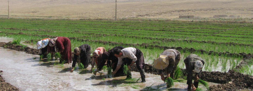 Iran: New Strategies Needed to Reduce Water Use