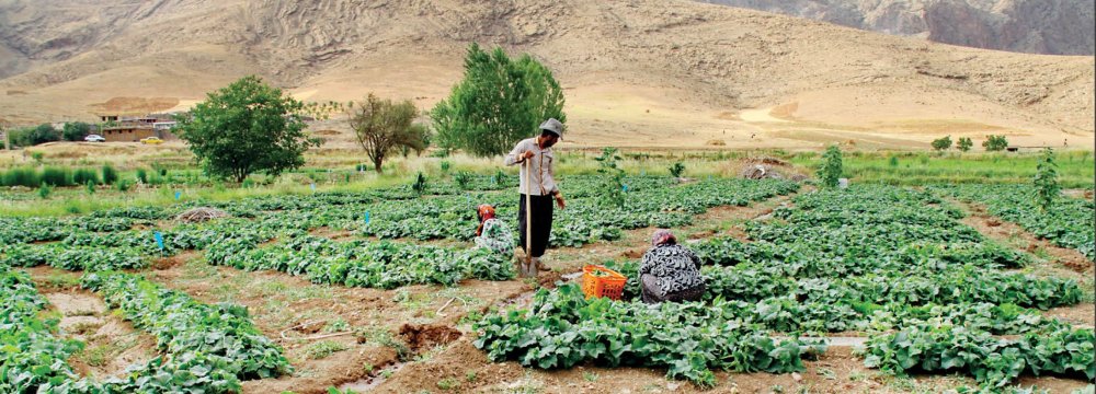 Drought-Hit Yazd to Form First Water Market Soon