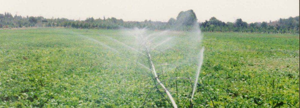 Semnan Water Consumption Up 17%