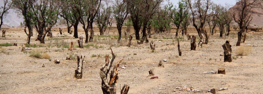 Yazd Water Problem Worsens 