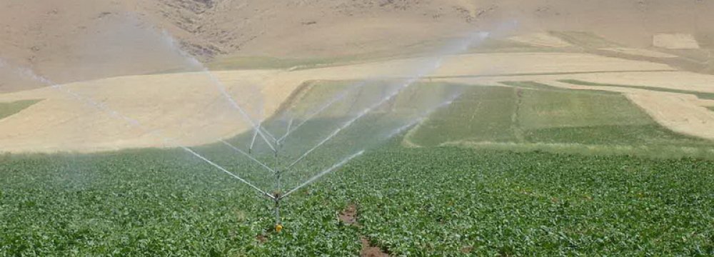 Gov’t Taking Baby Steps to Reduce Water Waste in Agriculture Sector 