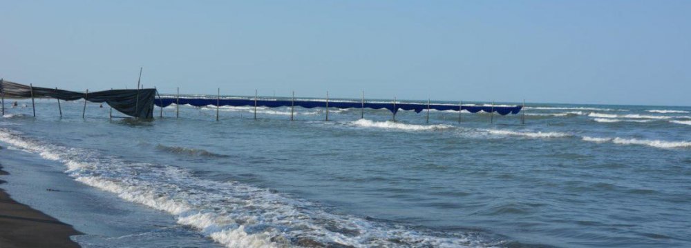 Caspian Sea Water Transfer Plan Carries Enormous Ecological Risk 