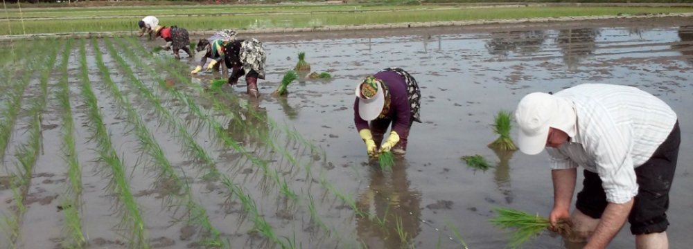 Water Is the Next Oil, Or Is It?