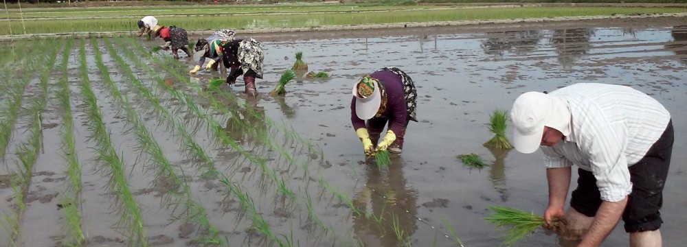 Supply-Oriented Policies Cannot Help Resolve Iran’s Water Crisis