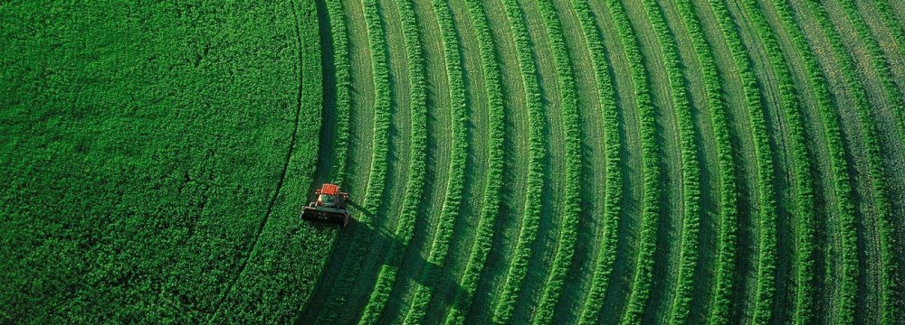 Iran Agrifood Exports Hit $5.8b 