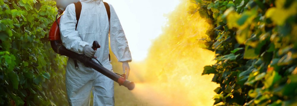 Pesticide Production Up 31% in Eight Months 