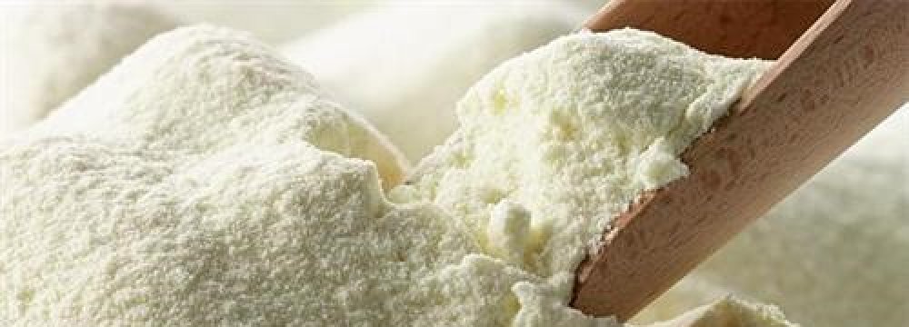 Milk Powder Exports Earn  $24 Million 