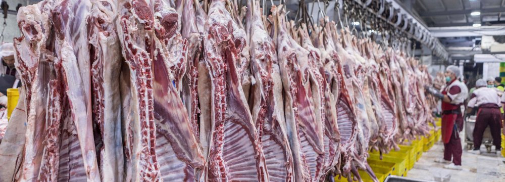 Substantial Rise in Red Meat Output