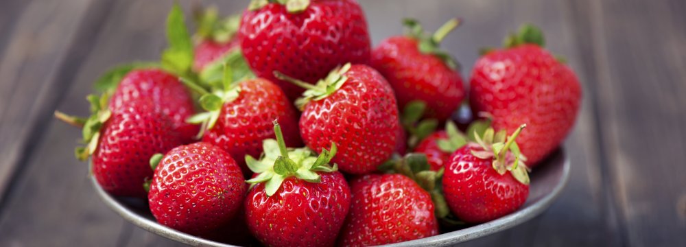 Kurdestan: Iran’s Strawberry Production Hub 