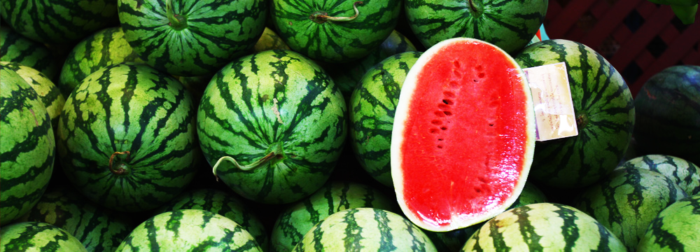 Watermelon Exports Earn $98m in Four Months