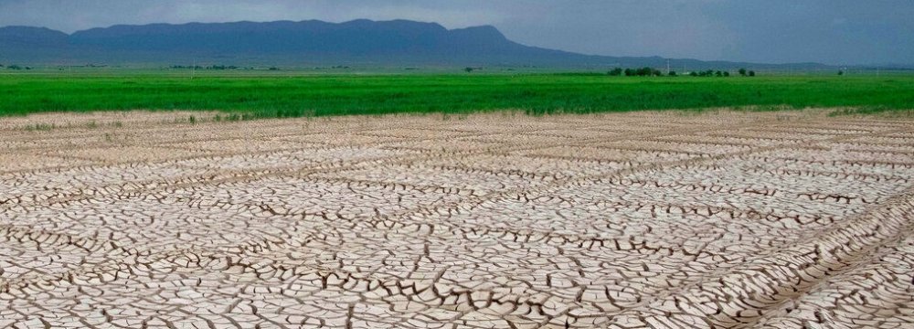 Drought Inflicts Losses Worth $2.7 Billion on Agro Sector