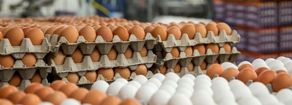 65K Tons of Eggs Exported in Nine Months