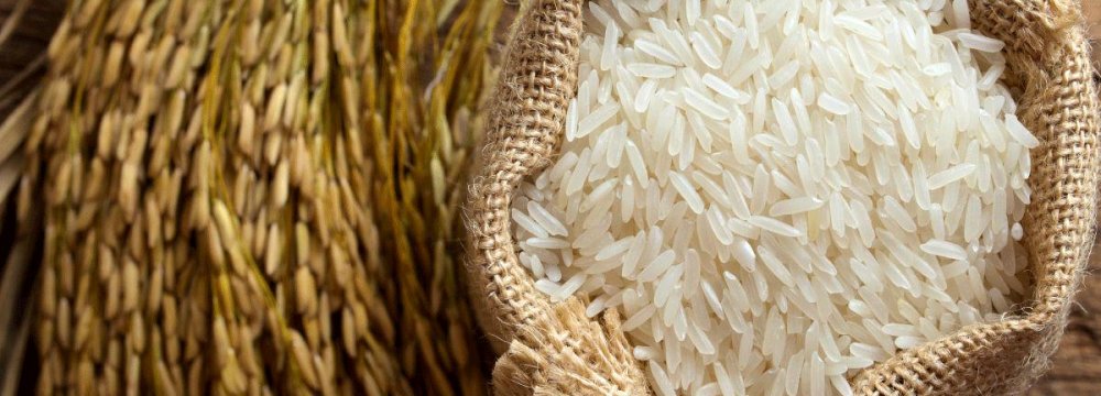 Iran 4th Biggest Importer of Rice in the World 