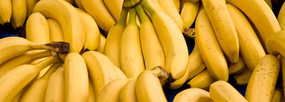 Banana Imports Hit $176m in Four Months 