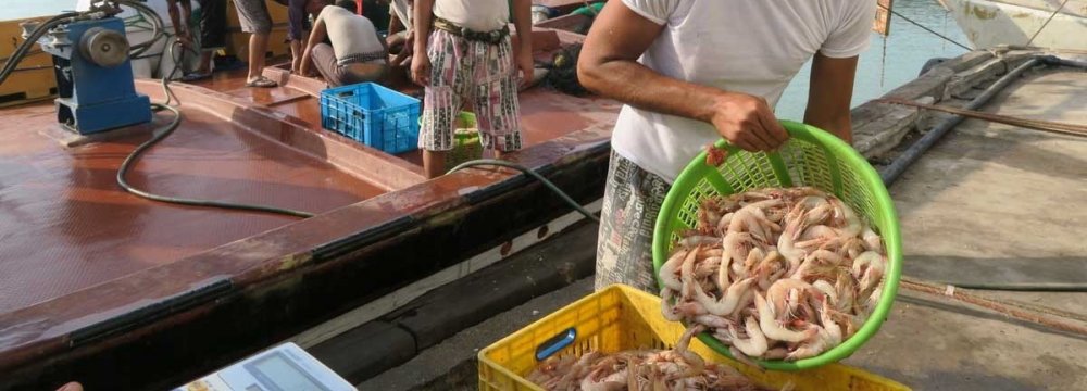 Bushehr Shrimp Production Exceeds 21K Tons