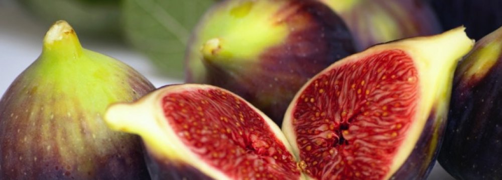 Fig Exports at 11,000 Tons 