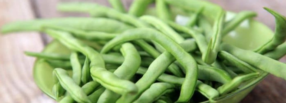 Jump in Green Beans Imports 