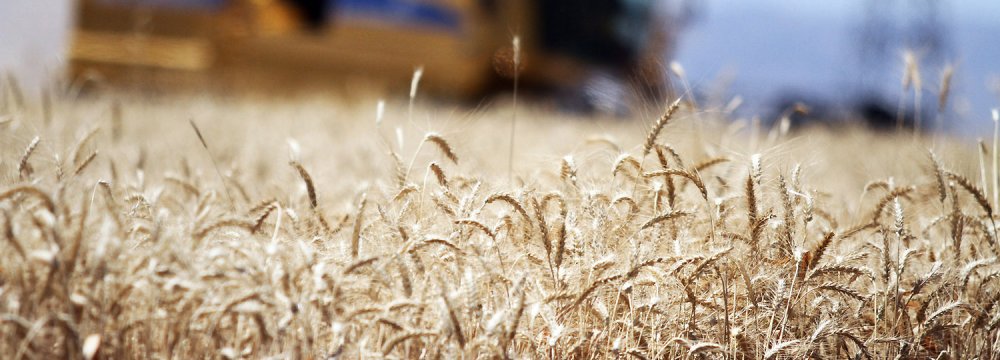 Subsidies for Import of Wheat, Medicines to Stay Until March