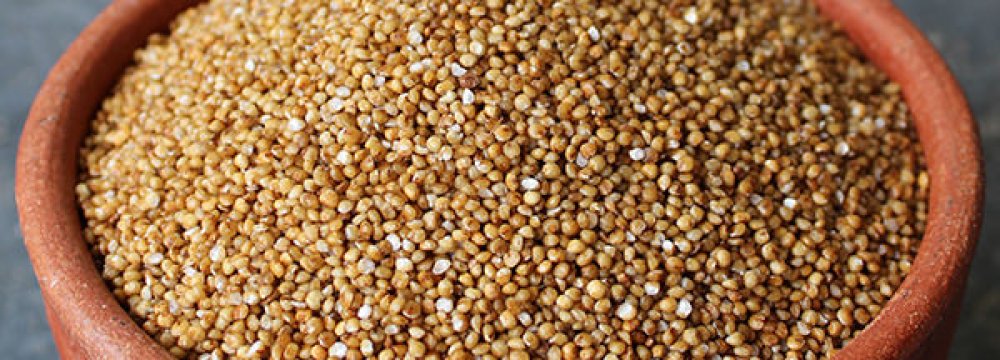 Millet Imports  at Over $10m 