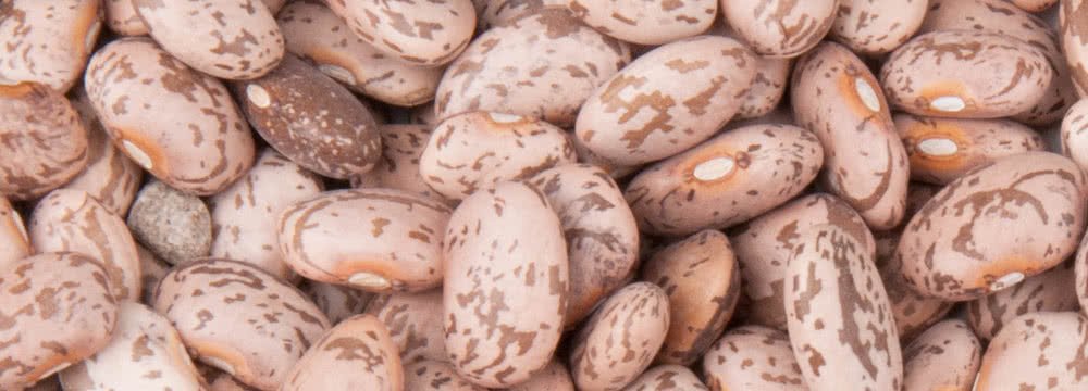 Pinto Bean Imports Top $53m in 11 Months