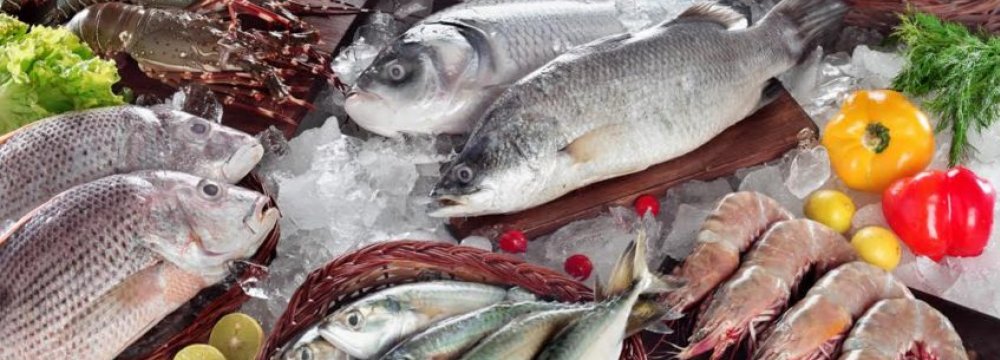 Strong Rise in Seafood Exports 