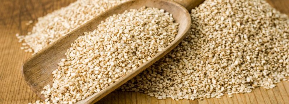 Sesame Imports at $30m in  4 Months