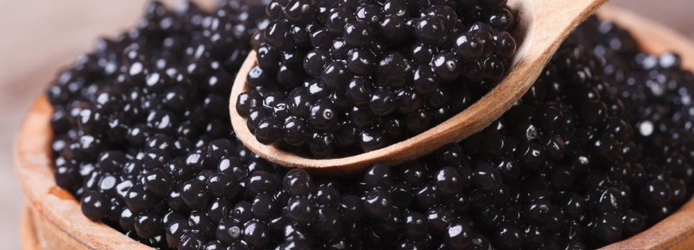 One-Third of Caviar Exports From Iran via Suitcase Trade