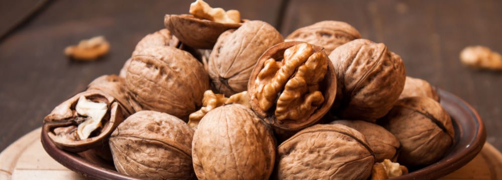 Walnut Production in Iran Hit by Frost