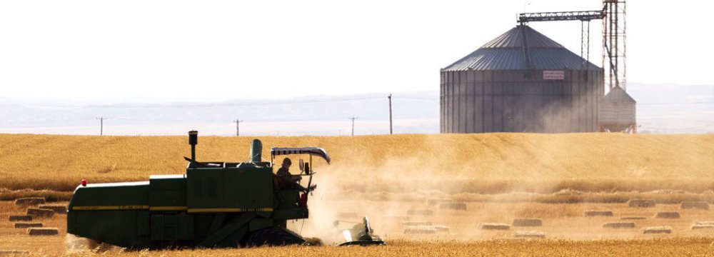 Wheat Harvest Yields 10m Tons