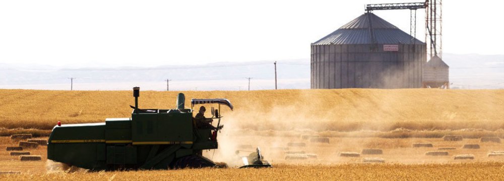 Wheat Imports From Russia More Than Halved in 2022