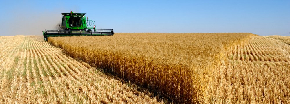 Private Firms in Iran Permitted to Make Foray Into Wheat Trading